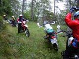 wald